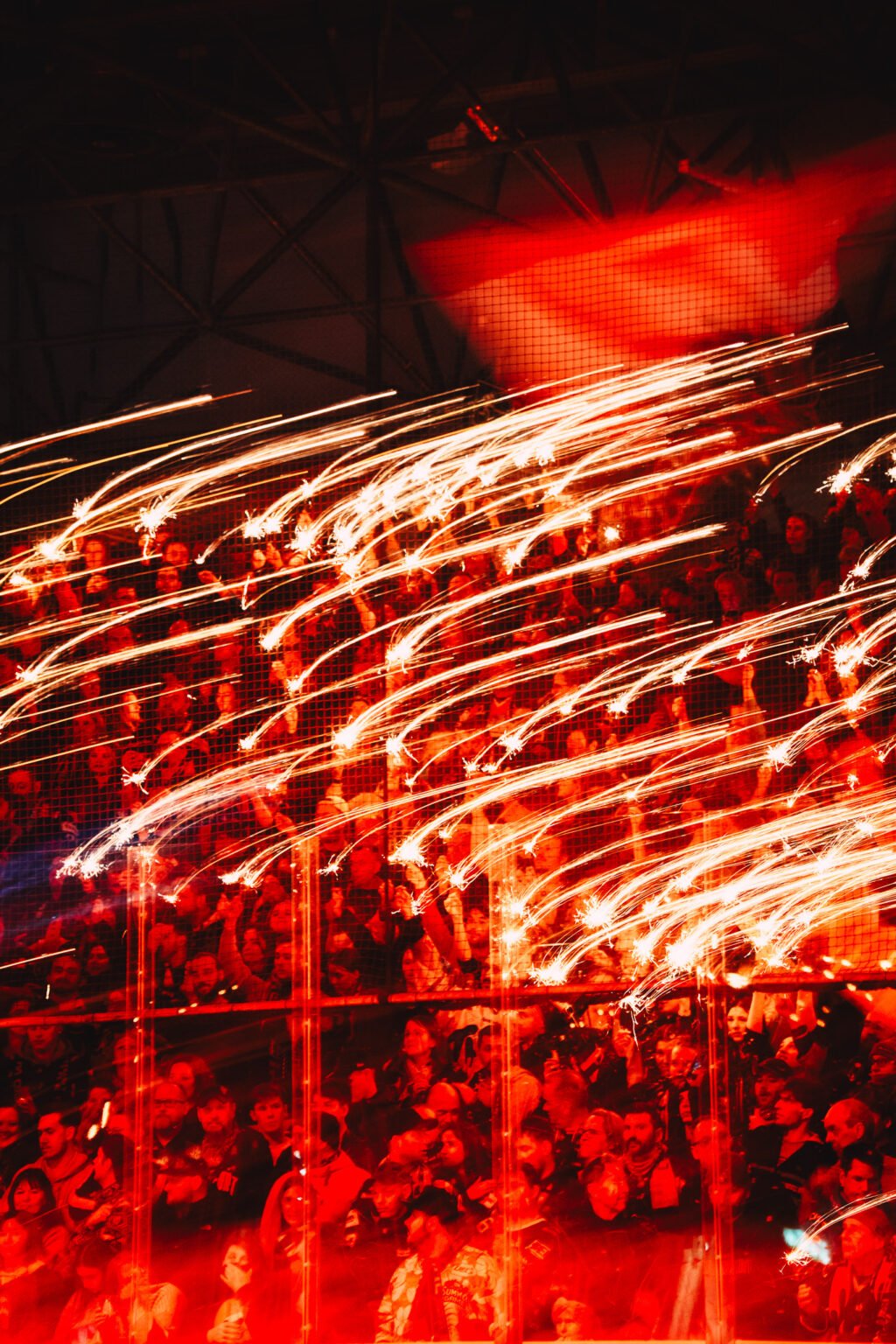 ice hockey fans cheering löwen