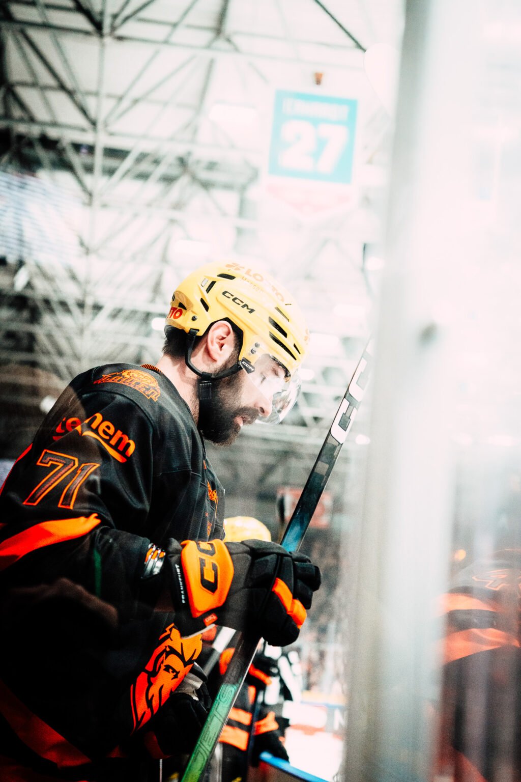 professional ice hockey löwen
